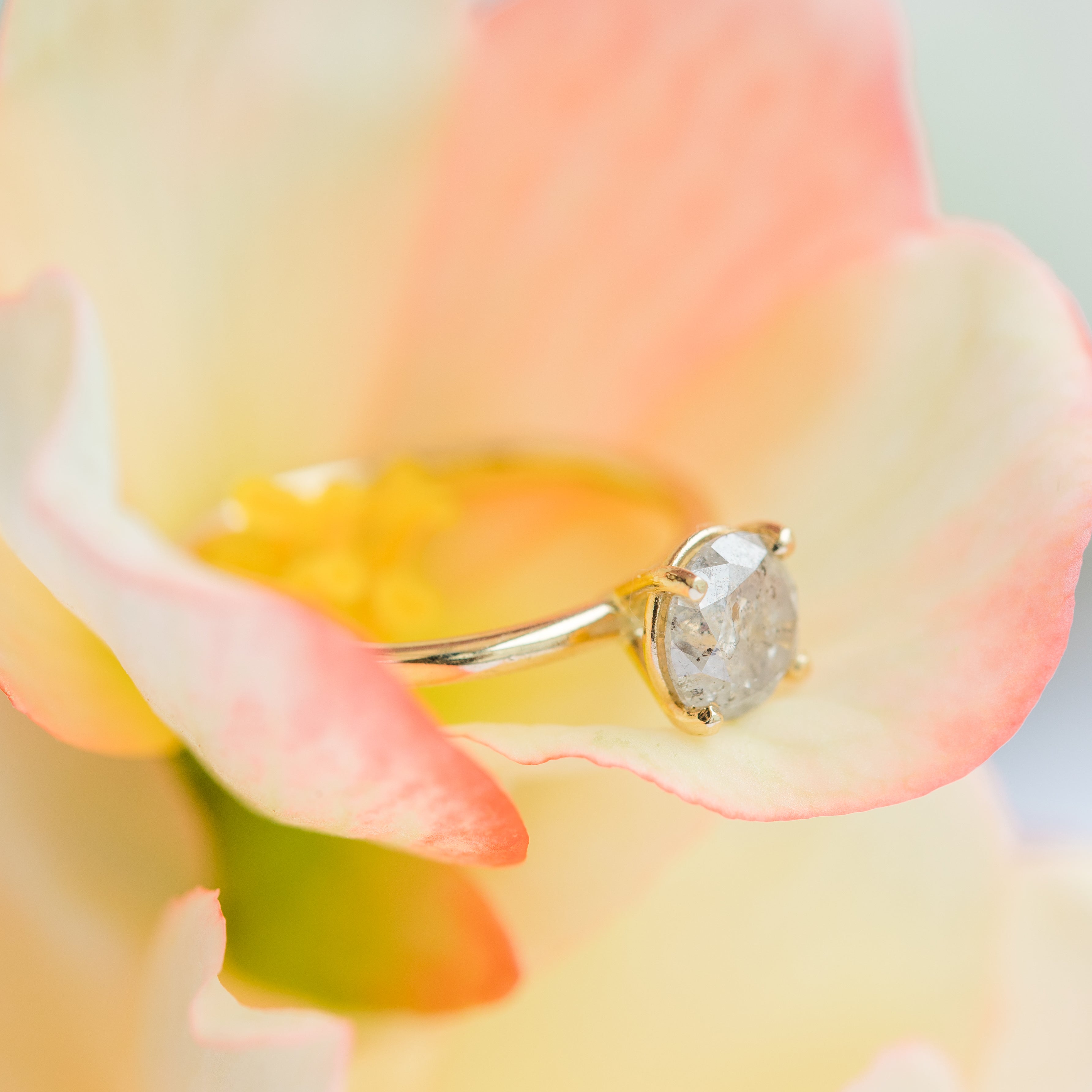 Can Normal People Tell the Difference Between Moissanite and Diamond? - MTD