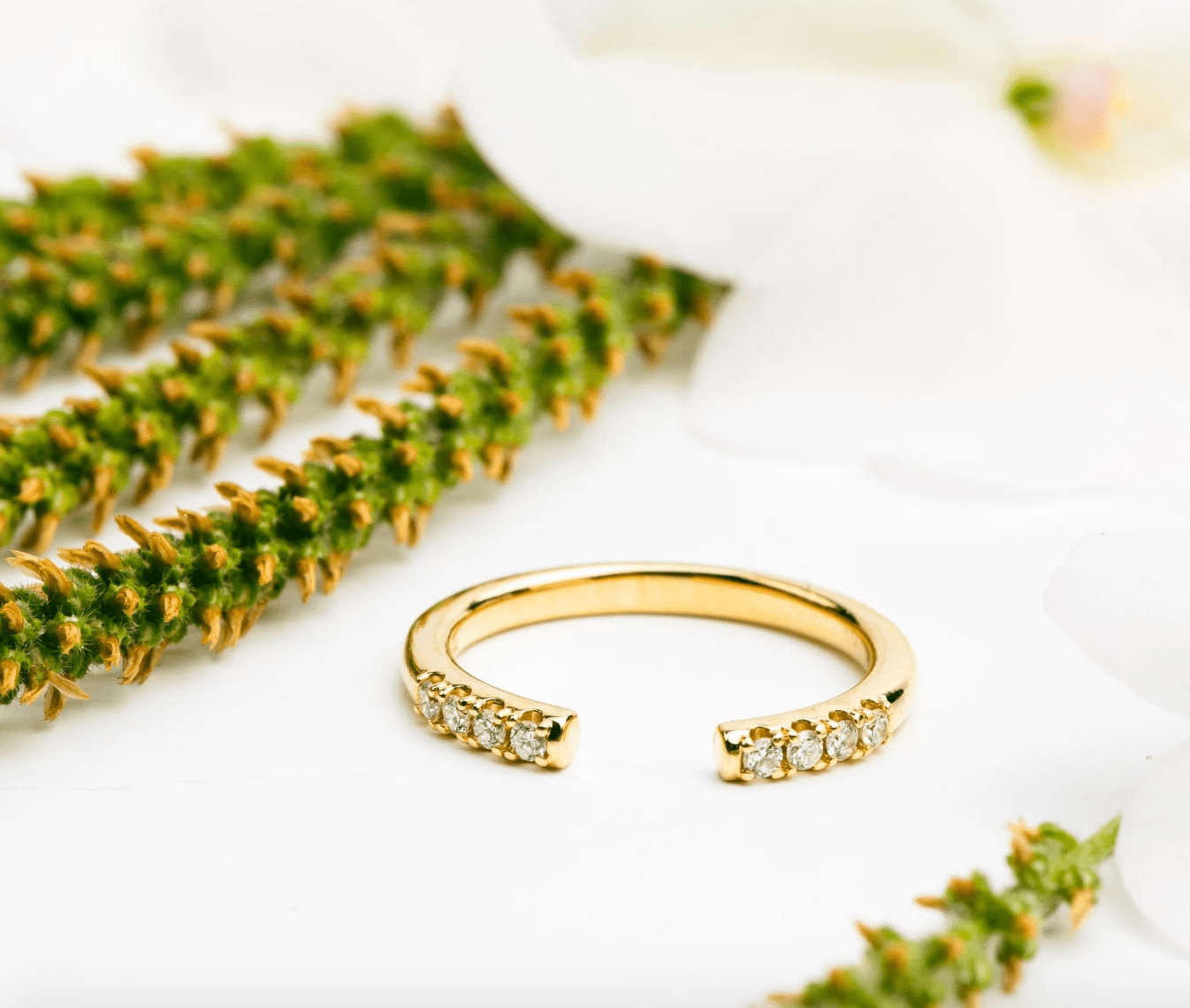The Open Shank Band Guide — Why They’re the Secret to Effortless, Evolving Stacks - MTD
