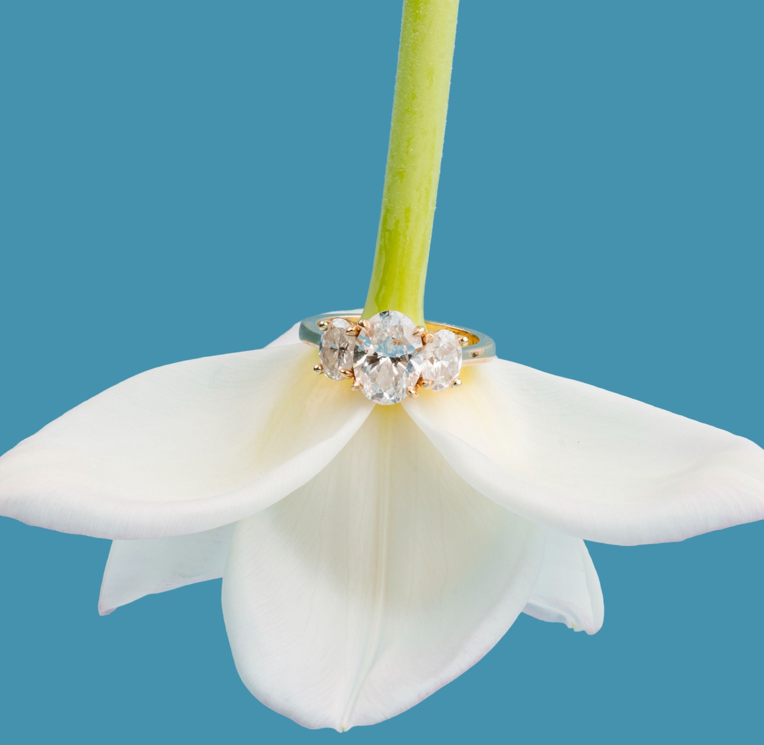 Moissanite vs Diamond: Choosing the Stone That Honors Your Story, Not Tradition Alone - MTD