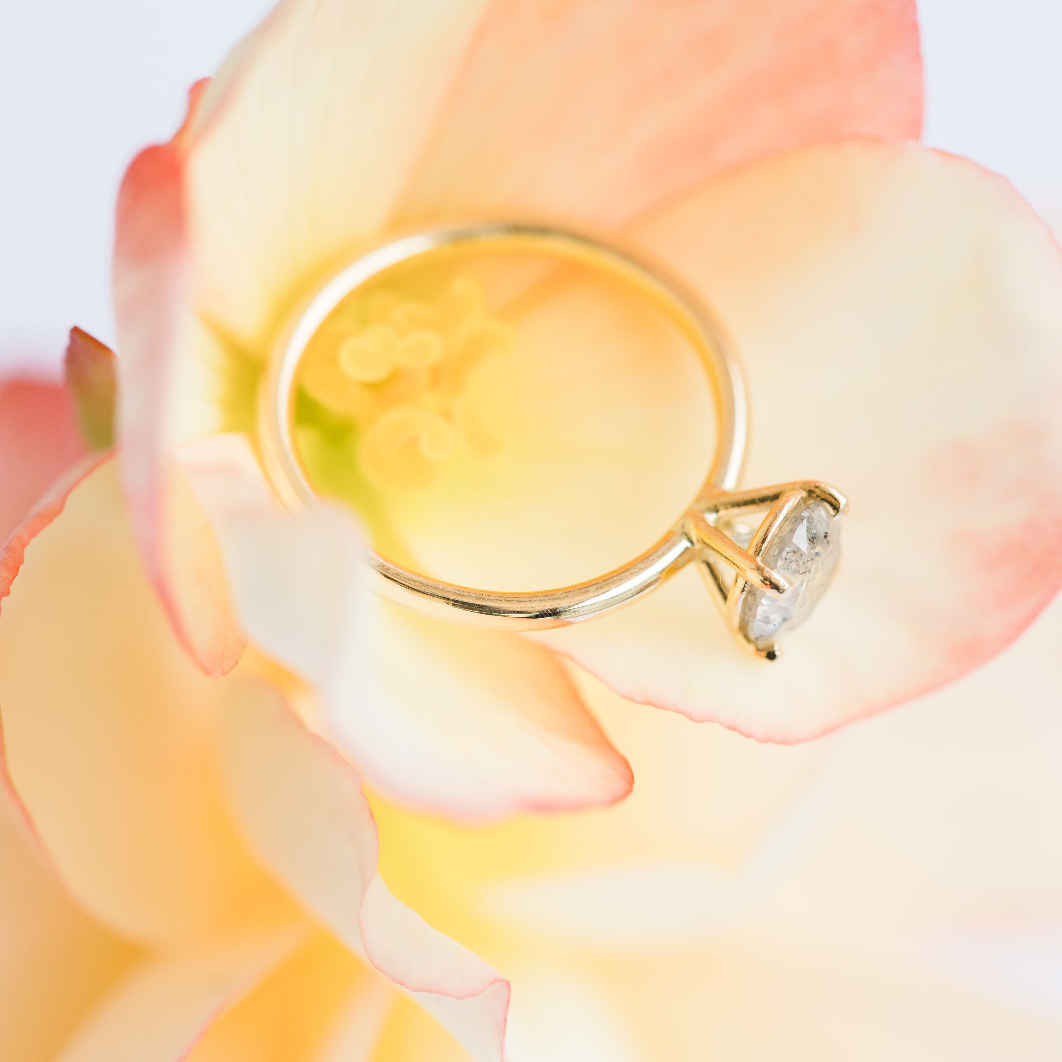 Basket Setting vs Martini Setting: What They Really Look Like on the Hand (and in Real Life) - MTD