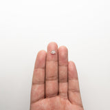 0.63ct 5.57x7.15x2.44mm SI2 K Trillion Rosecut 🇨🇦 21247 - 01 - MTD