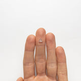 0.61ct 6.00x5.87x2.44mm VS2 L Trillion Rosecut 🇨🇦 21319-01 - MTD