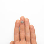 3.44ct 10.04x8.79x3.31mm Shield Slab Sapphire 22222 - 01 - MTD
