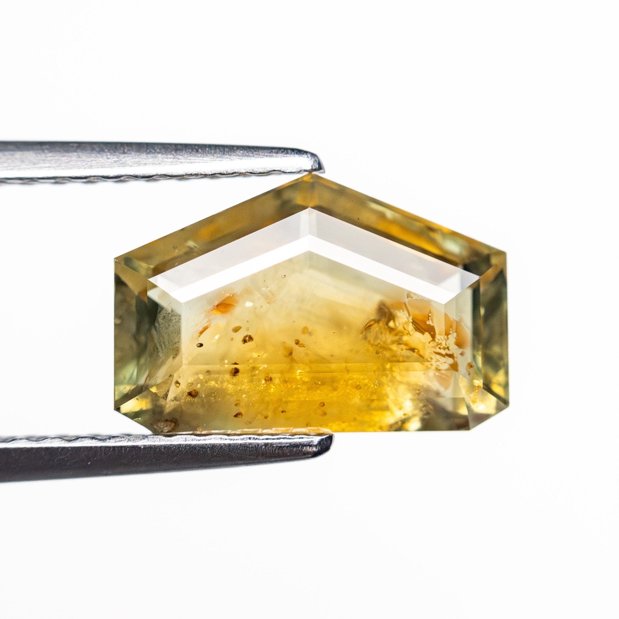 3.41ct 6.90x10.49x4.05mm Shield Portrait Cut Sapphire 22434 - 143 - MTD