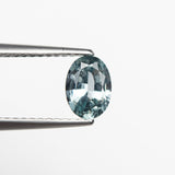 0.84ct 6.85x5.01x2.99mm Oval Brilliant Sapphire 22696 - 05 - MTD