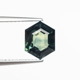 3.04ct 9.36x7.45x5.19mm Hexgon Step Cut Sapphire 22765 - 01 - MTD