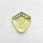1.43ct 7.92x7.11x2.26mm Shield Portrait Cut Sapphire 23474 - 55 - MTD