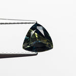 1.32ct 6.62x6.50x4.04mm Trillion Brilliant Sapphire 23515 - 01 - MTD