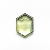 2.03ct 9.18x6.56x2.93mm Hexagon Portrait Cut Sapphire 23678 - 09 - MTD