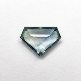 1.26ct 6.15x8.63x2.66mm Shield Portrait Cut Sapphire 23684 - 10 - MTD
