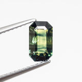 1.33ct 7.88x4.65x3.45mm Cut Corner Rectangle Step Cut Sapphire 23803-12 - MTD