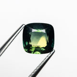 1.83ct 7.08x6.92x3.82mm Cushion Brilliant Sapphire 23804 - 14 - MTD