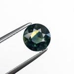 1.37ct 7.15x7.05x3.60mm Round Brilliant Sapphire 23806 - 16 - MTD