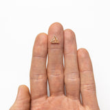 2.03ct 8.92x8.82x4.18mm Triangle Rosecut 24870 - 01 - MTD