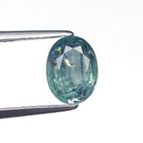 1.50ct 8.09x6.09x3.50mm Oval Brilliant Sapphire 26154-02