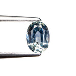 0.98ct 6.91x5.02x3.20mm Oval Brilliant Sapphire 26162-05 - MTD