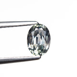 0.94ct 6.97x5.01x3.14mm Oval Brilliant Sapphire 26162-10