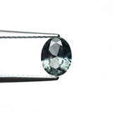 0.80ct 6.53x5.11x2.99mm Oval Brilliant Sapphire 26668-23