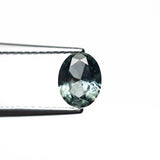 0.80ct 6.53x5.11x2.99mm Oval Brilliant Sapphire 26668 - 23 - MTD