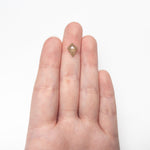 1.51ct 11.18x8.06x3.01mm Kite Rosecut 27536 - 07 - MTD
