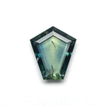 1.04ct 8.63x7.51x1.66mm Shield Portrait Cut Sapphire 27730-04 - MTD