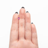 0.44ct 5.04x3.97x2.72mm Oval Brilliant Sapphire 27956 - 20 - MTD
