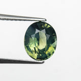 2.08ct 7.74x6.46x4.77mm Oval Brilliant Sapphire 28308-01 - MTD