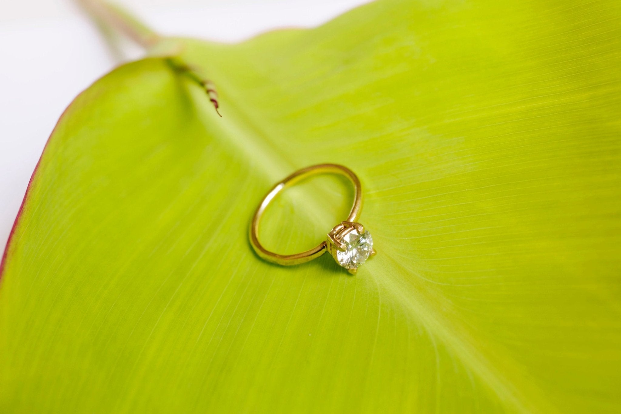 Treasure ~ Choose Your Diamond - MTD