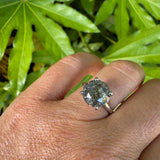 Maeve 5ct Round Salt and Pepper Diamond Engagement Ring
