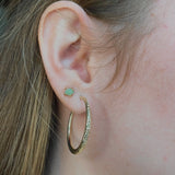 Shay Textured Hollow Gold Hoop Earrings - MTD