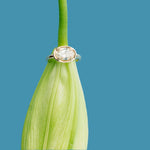 Annmarie East - West Diamond Engagement Ring - MTD