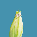 Annmarie East - West Diamond Engagement Ring - MTD