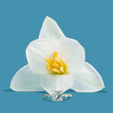 Eleanor Princess Cut Diamond Engagement Ring with Floating Diamond Band