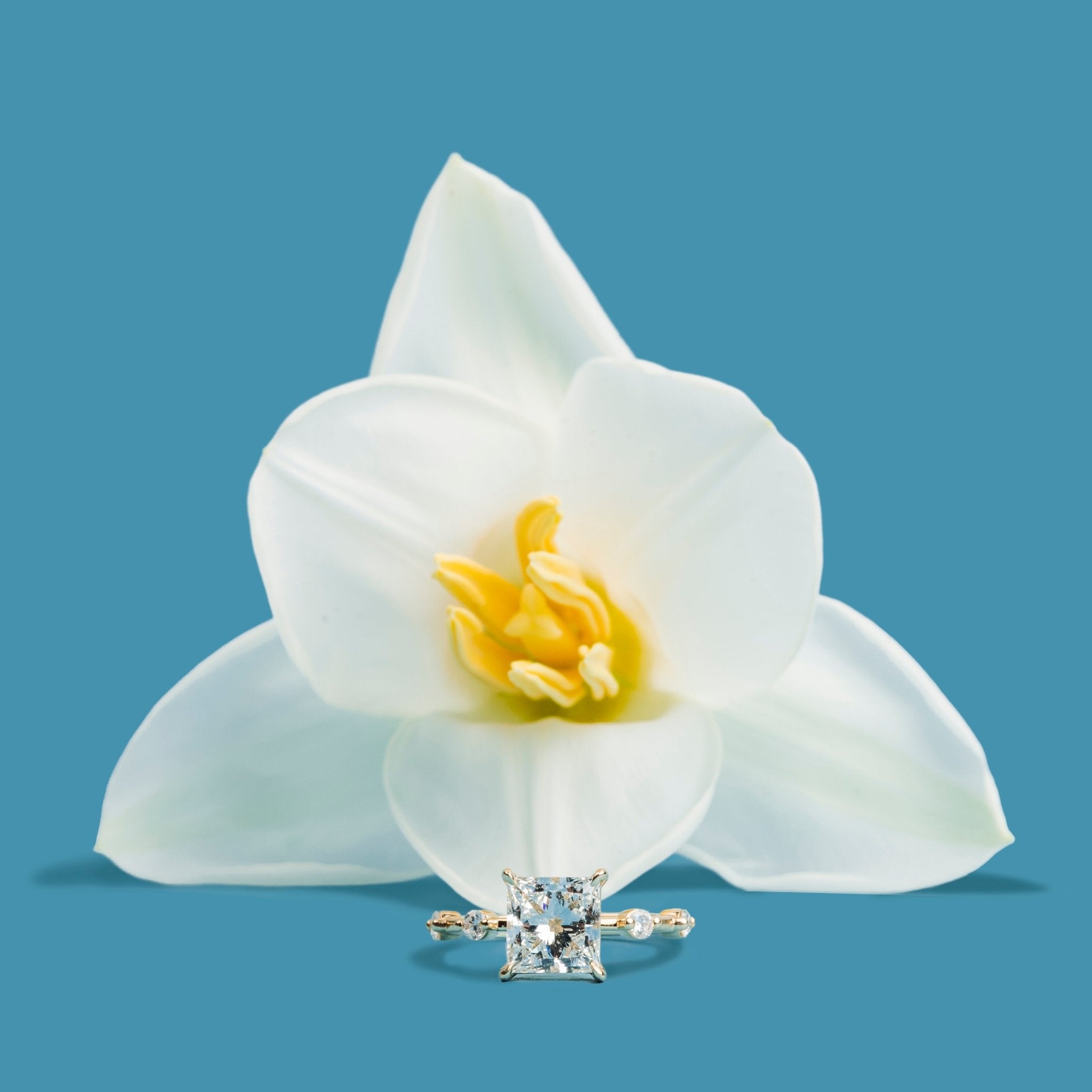 Eleanor Princess Cut Diamond Engagement Ring with Floating Diamond Band - MTD