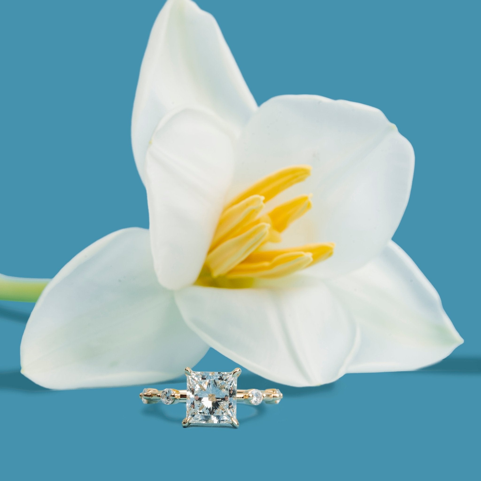 Eleanor Princess Cut Diamond Engagement Ring with Floating Diamond Band - MTD