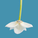 Marjorie Three Stone Oval Lab Diamond Engagement Ring Ready to Ship - MTD