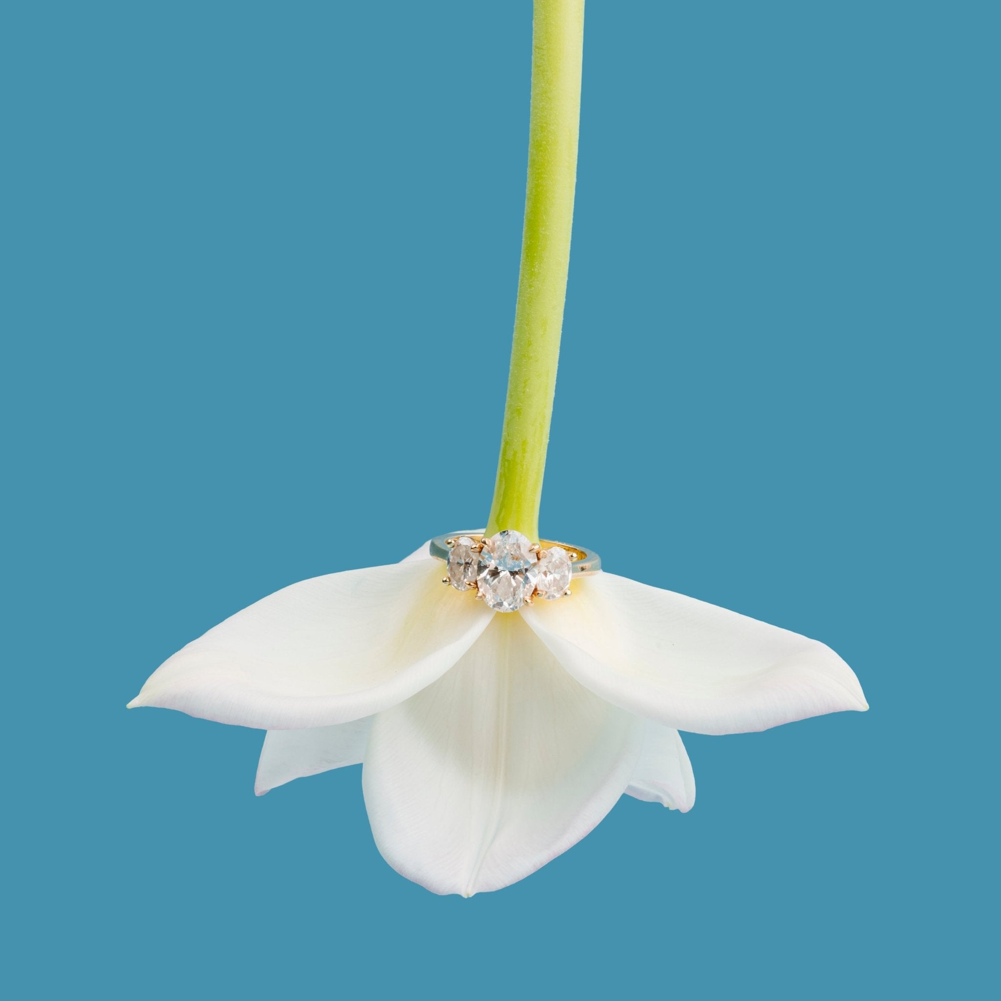 Marjorie Three Stone Oval Lab Diamond Engagement Ring Ready to Ship - MTD