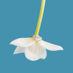 Marjorie Three Stone Oval Lab Diamond Engagement Ring Ready to Ship - MTD