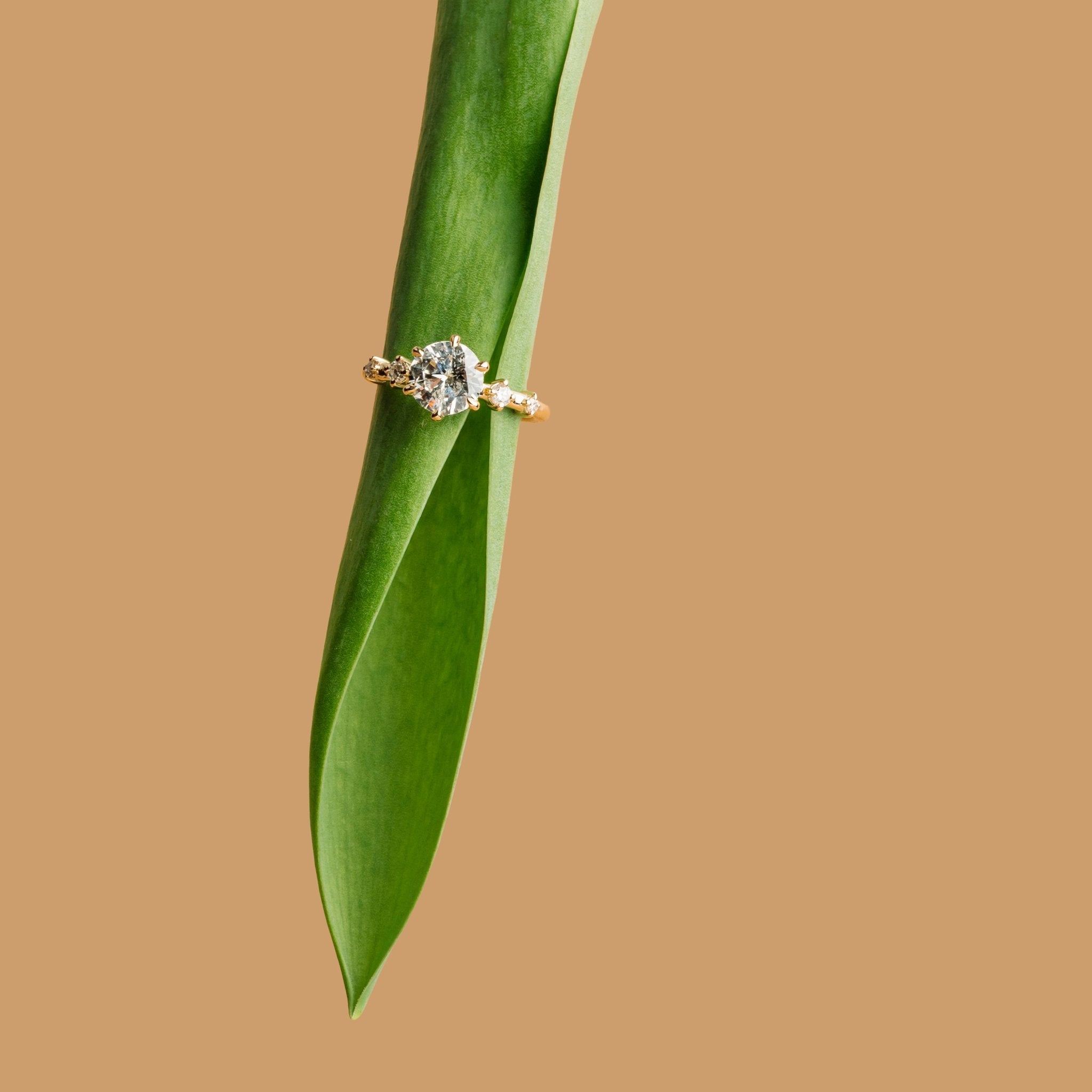 Hope 5 Stone Spaced Diamond Engagement Ring - MTD