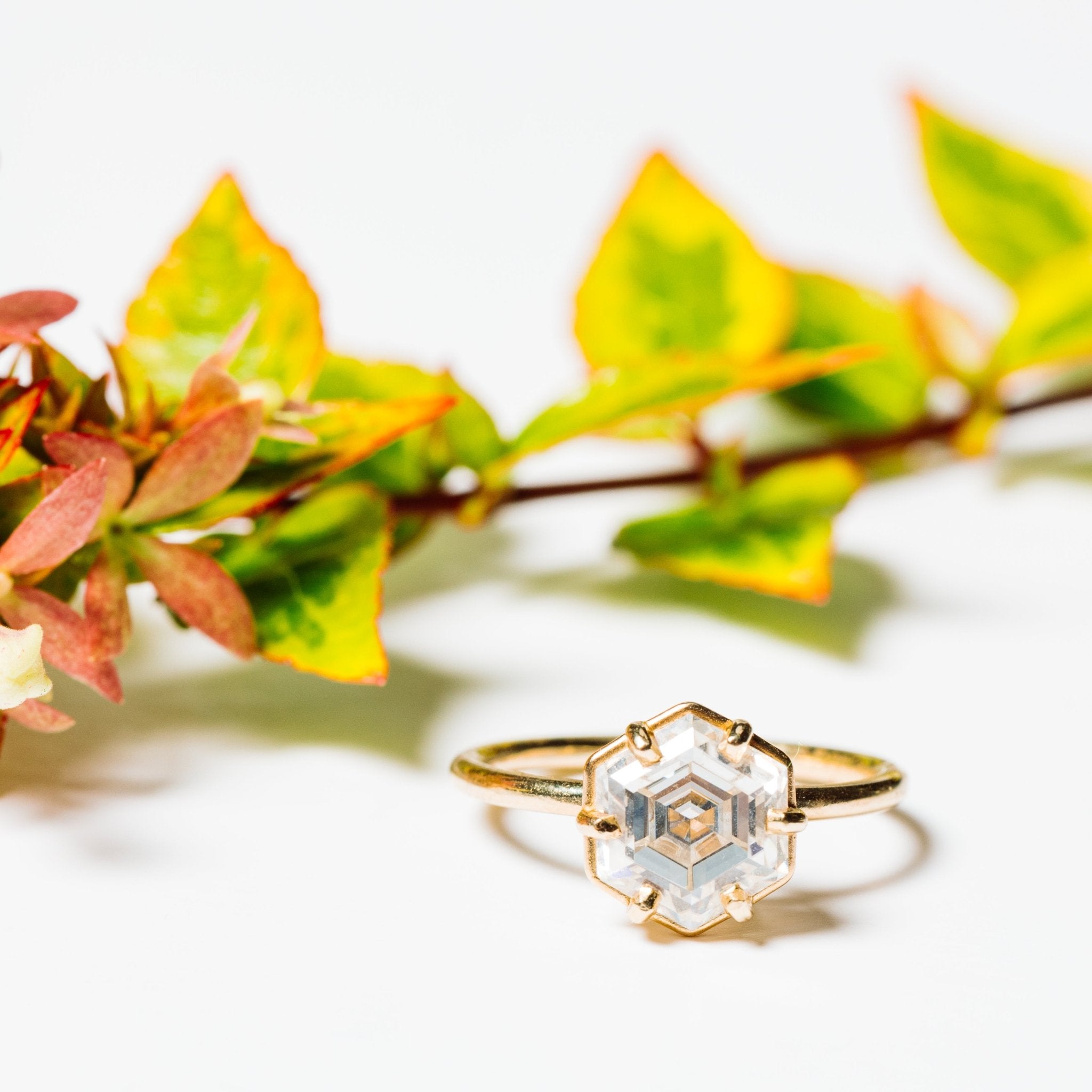 Francoise Hexagon Moissanite Engagement Ring - MTD