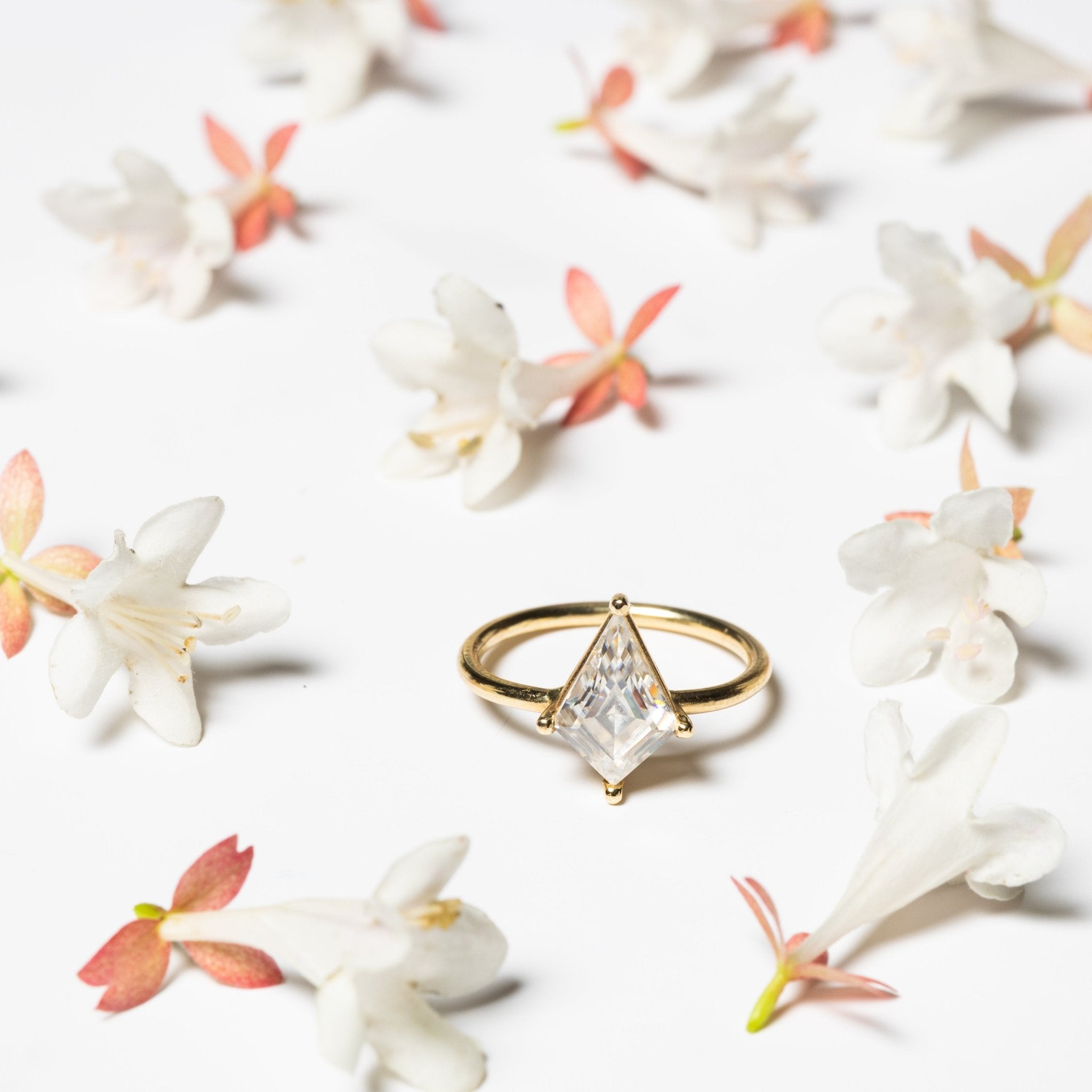 Compass Kite Moissanite Engagement Ring - MTD