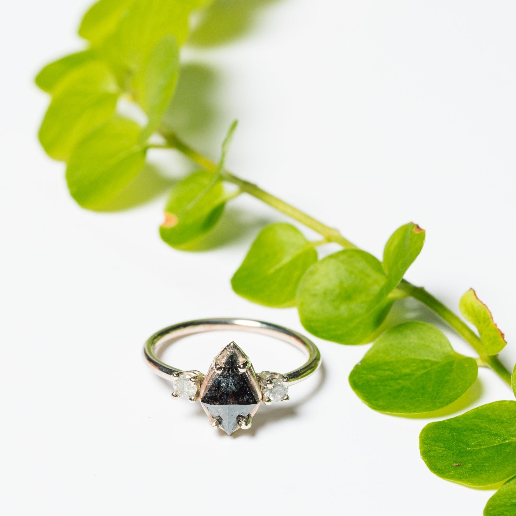 Edith Kite Salt and Pepper Diamond Three Stone Ring - MTD