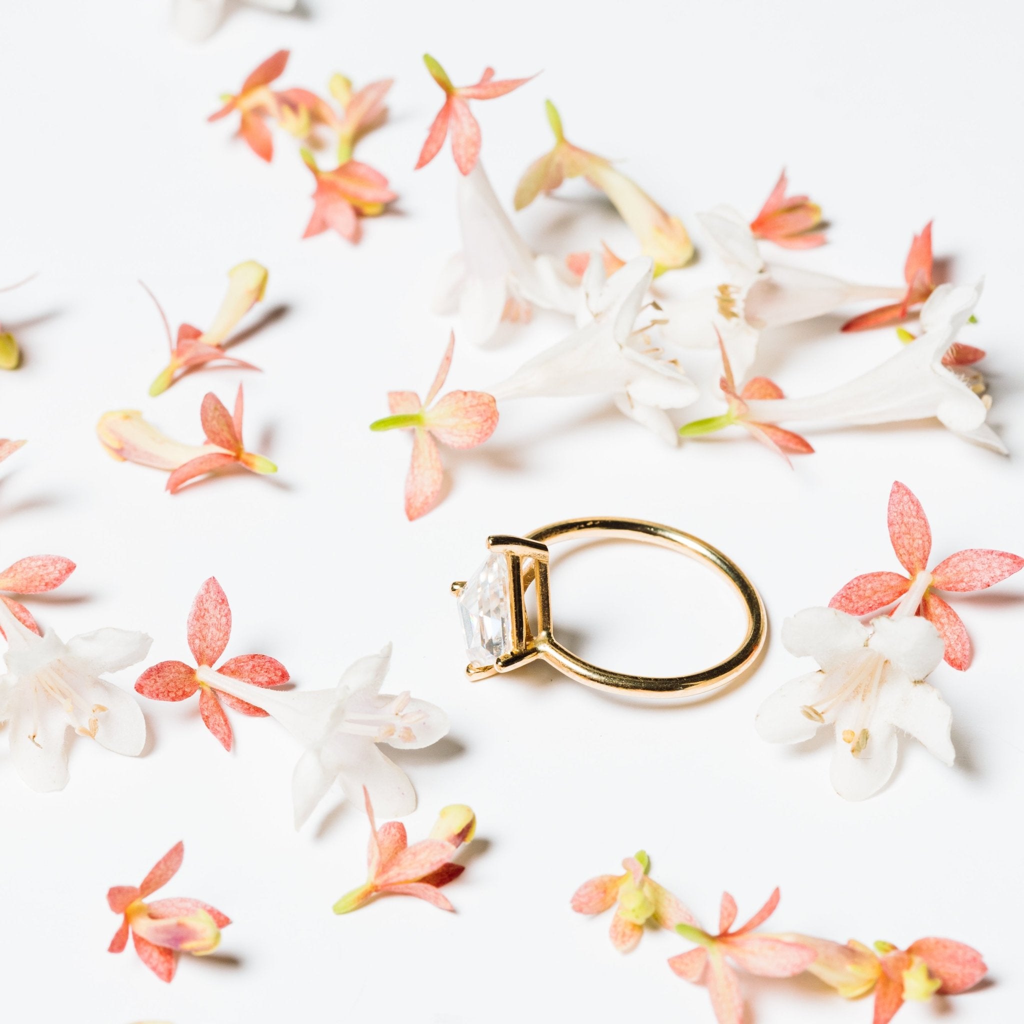 Compass Kite Moissanite Engagement Ring - MTD