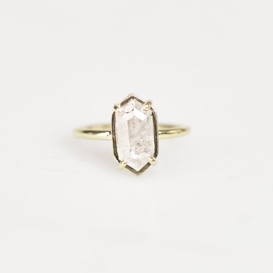 Waverly | 1.07ct Elongated Hexagon Salt and Pepper Diamond 14k Yellow Gold Engagement Ring - MTD