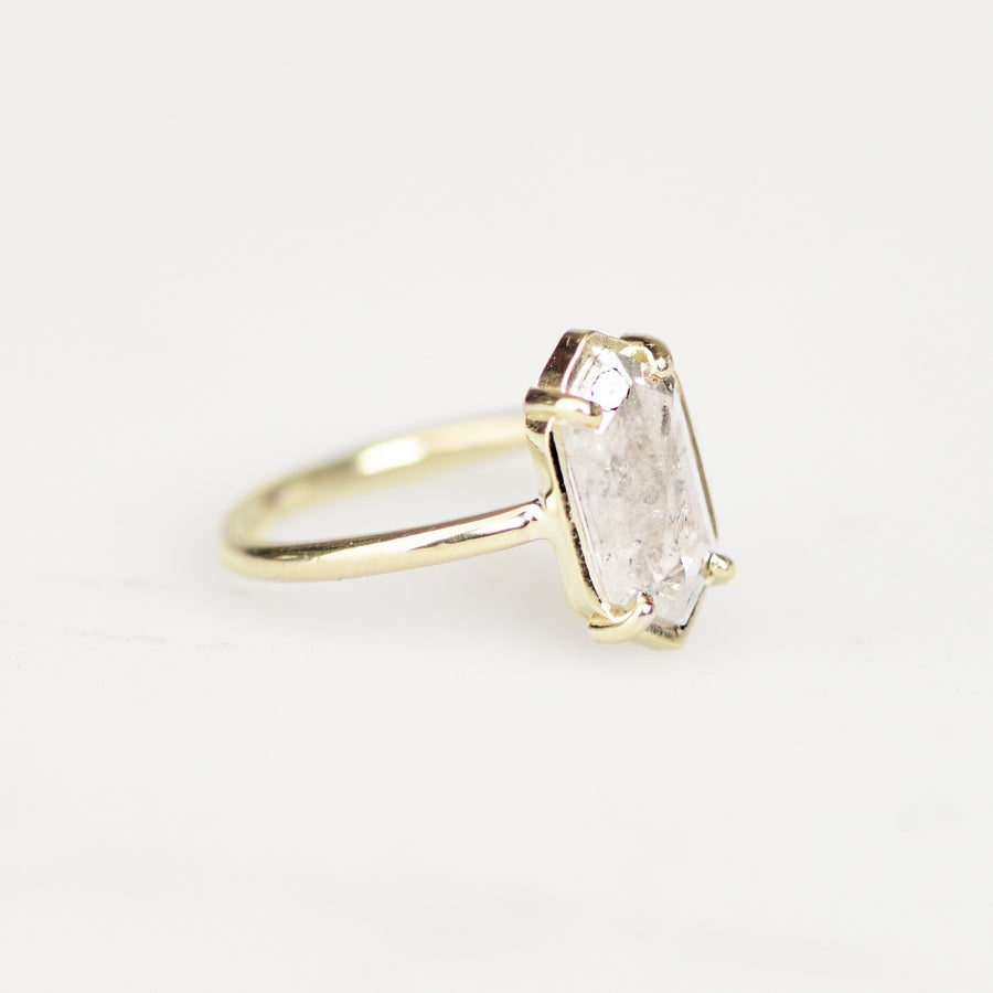 Waverly | 1.07ct Elongated Hexagon Salt and Pepper Diamond 14k Yellow Gold Engagement Ring - MTD