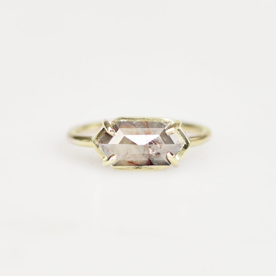 Isabella | 2.25ct Salt and Pepper Diamond Elongated Hexagon Engagement Ring 14k Yellow Gold - MTD