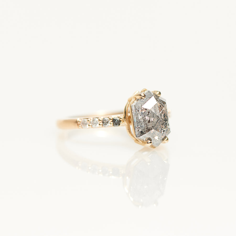 Grace | 3.05ct Elongated Hexagon Salt & Pepper Diamond Engagement Ring with Ombre Diamond Pave Band - MTD