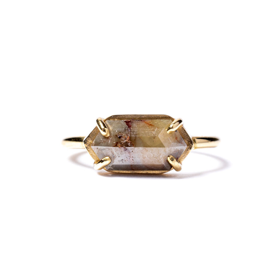 Isabella | 2.25ct Salt and Pepper Diamond Elongated Hexagon Engagement Ring 14k Yellow Gold - MTD