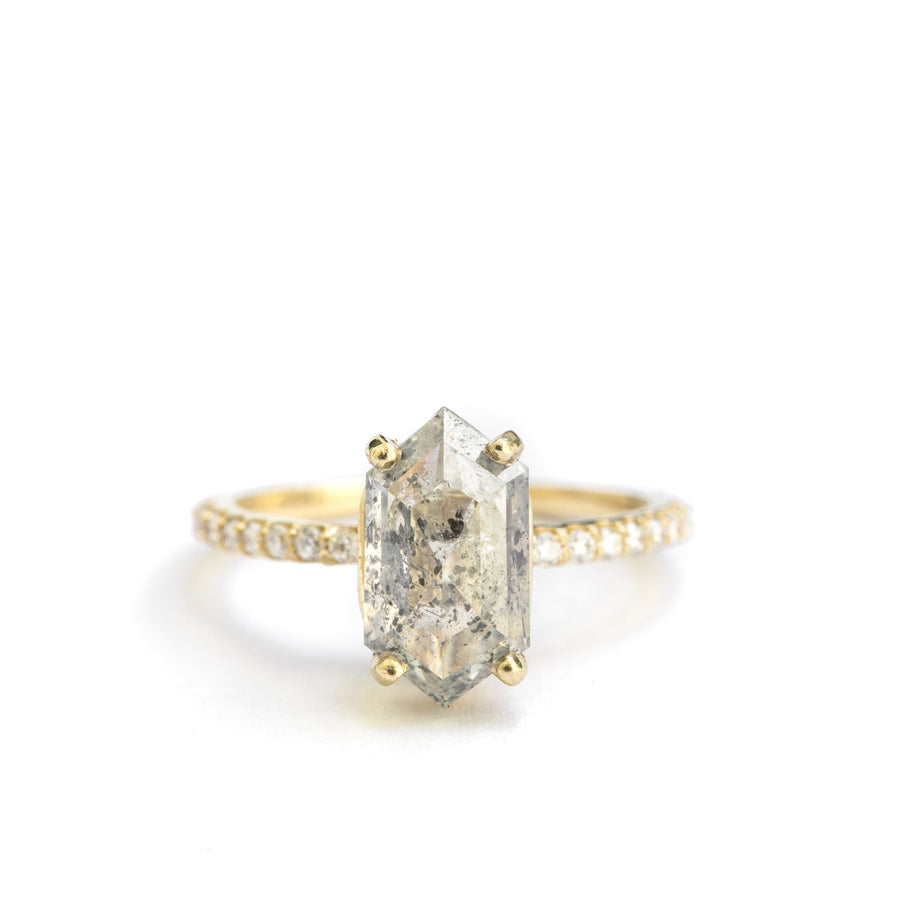 Sabrina | Elongated Hexagon Salt and Pepper Diamond Engagement Ring Pave Diamond Band - MTD